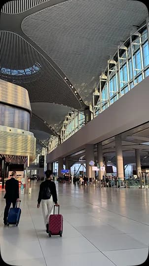 Travelers at airport